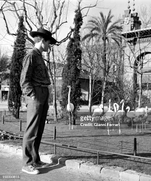 The first bullfights of the Spanish bullfighter Manuel Benitez El Cordobes' in the bullring La Monumental, 5th March 1961, Barcelona, Spain.