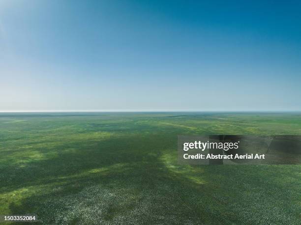 aerial photo showing part of the australian outback on a sunny day during the wet season, western australia, australia - tropical bush stockfoto's en -beelden