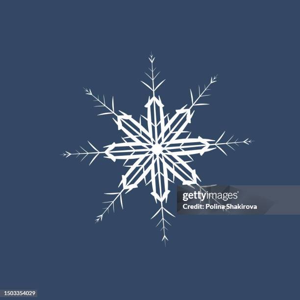 Big Vector Snowflake Snowflake Vector High Res Snowflake Clipart Elements, Silver