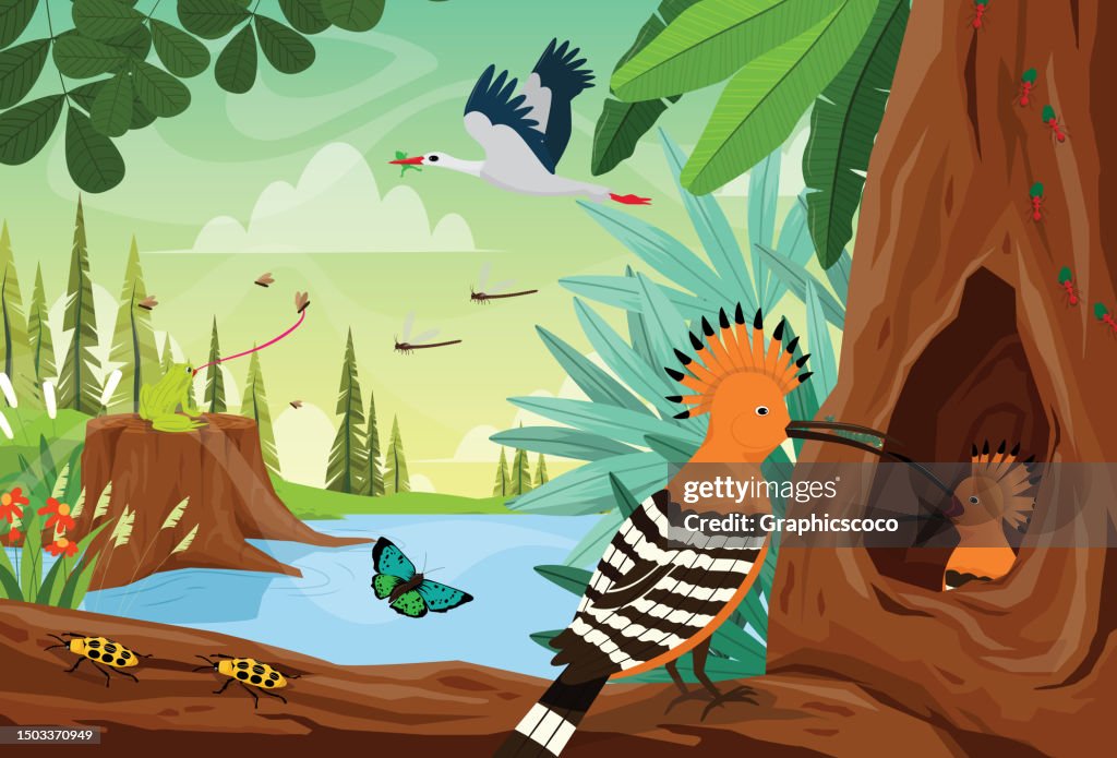 Wildlife scene of eurasian hoopoe, upupa epops, feeding chick inside tree in summer nature