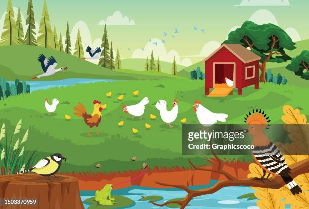 flocks of chickens roam freely in the grazing yard, - pasture stock illustrations