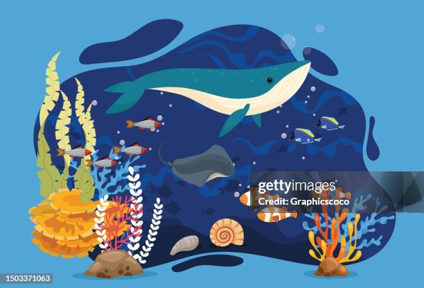 tropischer unterwasser-blauwal und stachelrochen an korallenriffen. meereslebewesen in der natur, bunte meereslandschaft - seabed stock-grafiken, -clipart, -cartoons und -symbole