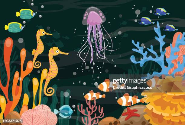 ilustraciones, imágenes clip art, dibujos animados e iconos de stock de medusas tropicales submarinas y peces payaso en los arrecifes de coral. vida marina en la naturaleza, colorido paisaje marino - alga roja