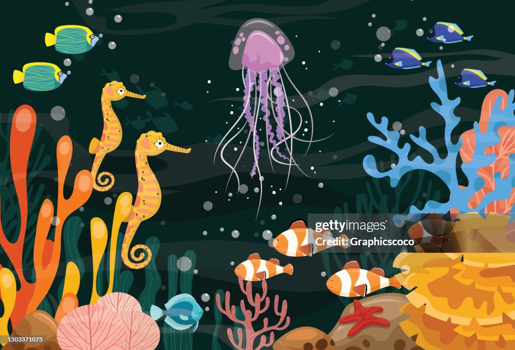 Tropical underwater jellyfish and clown fish on coral reefs. Sea life in nature, colorful marine landscape