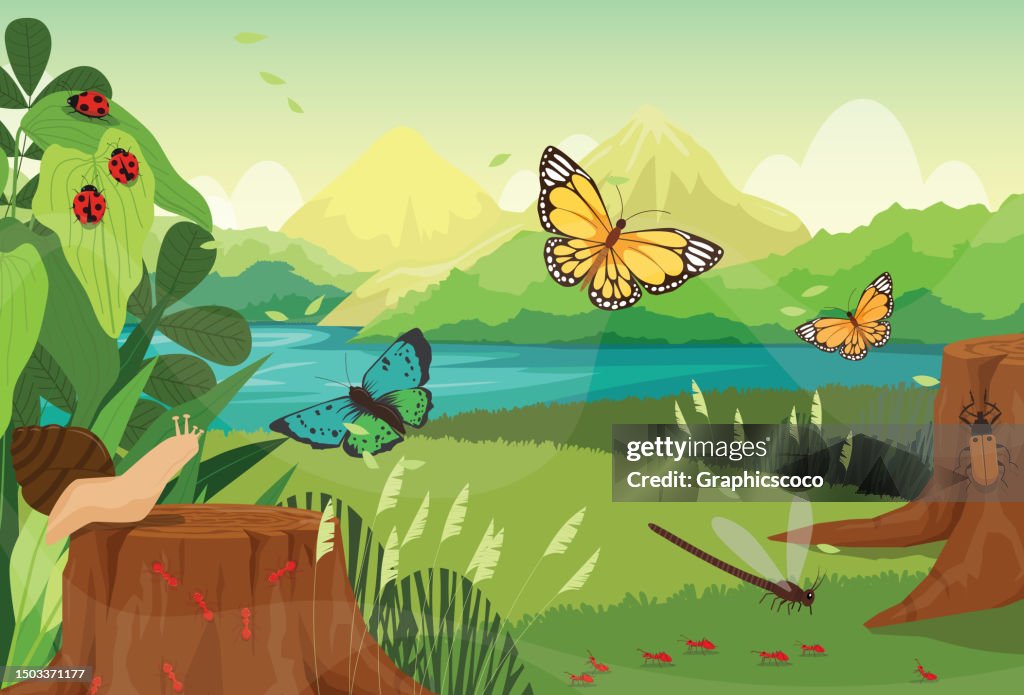 Summer natural landscape beautiful insect in summer spring field with butterfly, insect, ladybug, dragonfly, ant, beetle, snail,