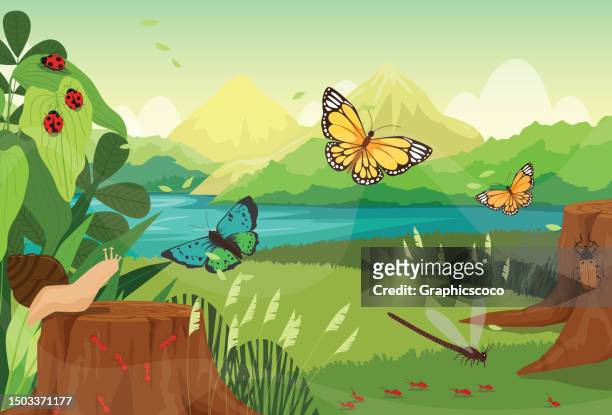 summer natural landscape beautiful insect in summer spring field with butterfly, insect, ladybug, dragonfly, ant, beetle, snail, - forest nymph stock illustrations