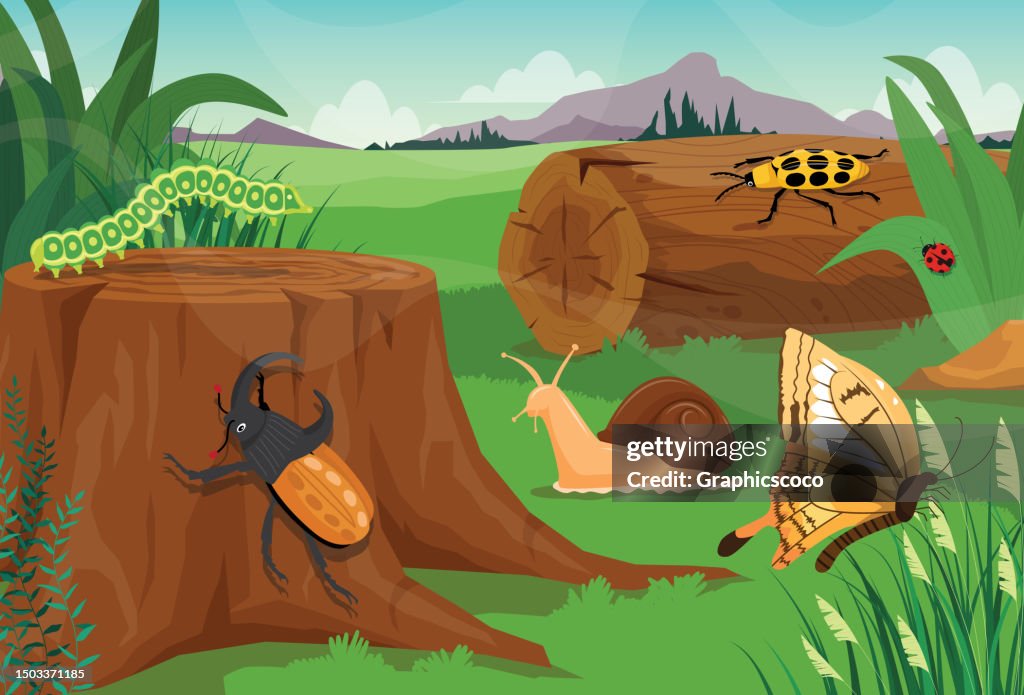 Paisaje natural de verano hermoso insecto en verano campo de primavera en campo verde de fondo y montaña con mariposa voladora y caracol en el suelo, escena con oruga, mariquita y escarabajo en el tocón.