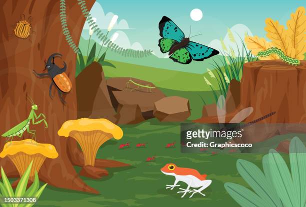 summer natural landscape beautiful insect in summer with flying butterfly and dragonfly, scene with mantis, beetles, frog, worms, ant - amphibian stock illustrations