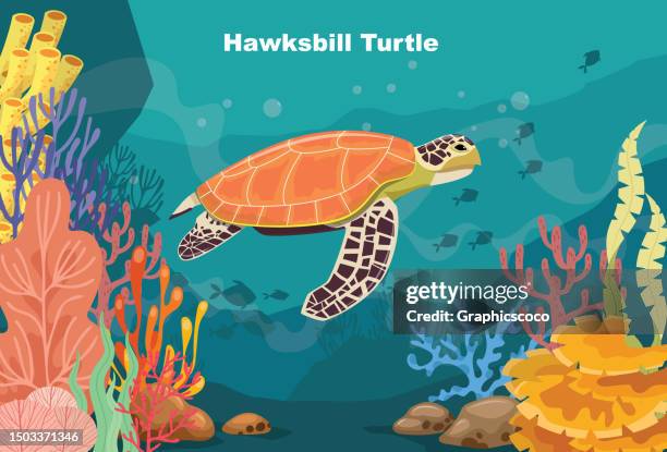 stockillustraties, clipart, cartoons en iconen met hawksbill turtle swimming in the blue sea along tropical reef with fish. sea life in nature - oceaanbodem