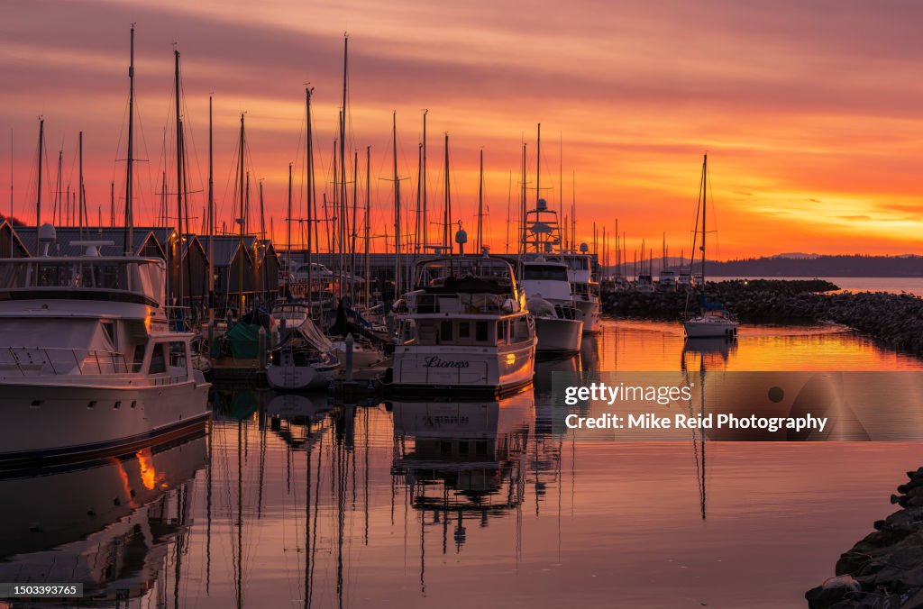 Sailboat Arriving into the Edmonds Marina at Sunset
