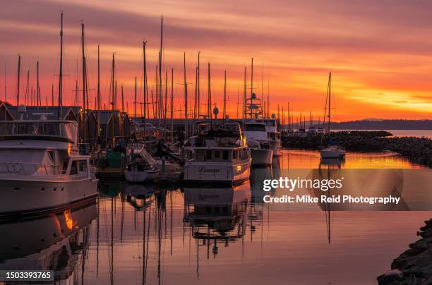 sailboat arriving into the edmonds marina at sunset - ferry terminal stock pictures, royalty-free photos & images