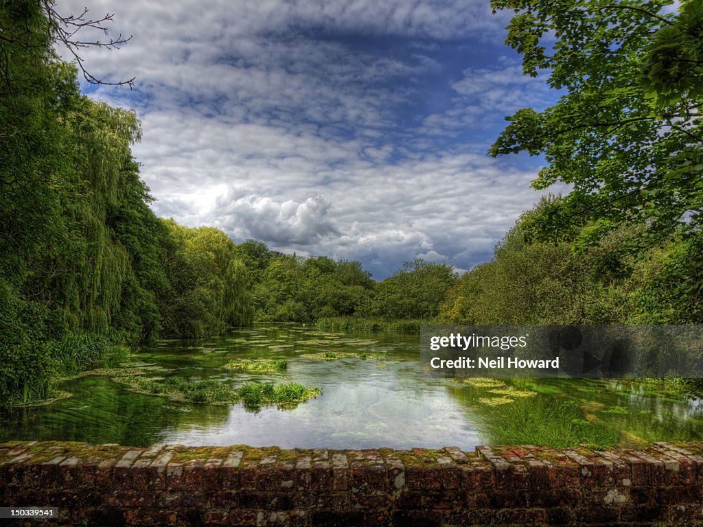 Cloud studded sky reflected in treed river