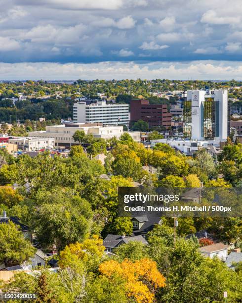 high angle view of trees and buildings against sky,rapid city,south dakota,united states,usa - mitchell south dakota stock pictures, royalty-free photos & images