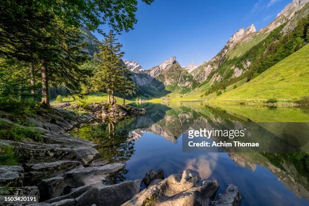 lake seealpsee, swiss alps, appenzell, switzerland, europe - lake alpsee stock pictures, royalty-free photos & images