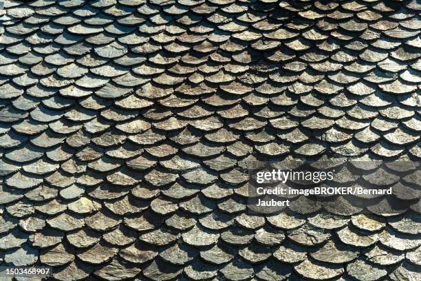 illustrations, cliparts, dessins animés et icônes de traditional slate roof, lauze stone, in auvergne, france - argile schisteuse