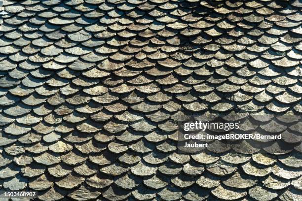 traditional slate roof, lauze stone, in auvergne, france - bernard jaubert stock illustrations