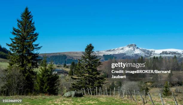 wiew on banne d'ordanche in winter, auvergne volcanoes regional nature park, puy de dome department, auvergne rhone alpes, france - bernard jaubert stock illustrations