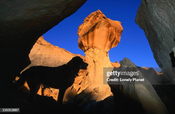 Dogs That Climb Rocks 61 Dog Climbing Silhouette Stock Photos, High-Res Pictures, and Images ...