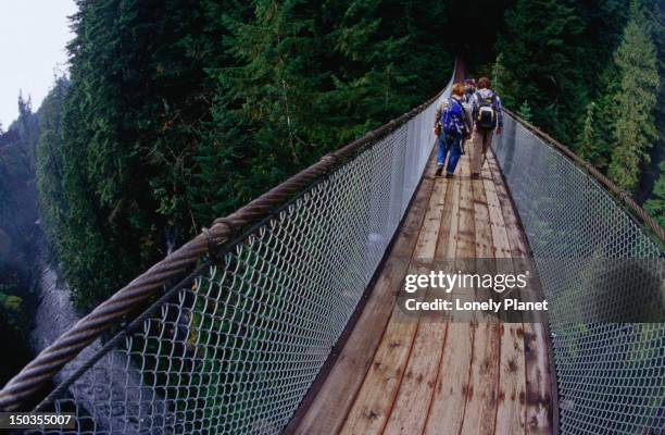 capilano suspension bridge, north vancouver. - vancouver capilano suspension bridge stock pictures, royalty-free photos & images