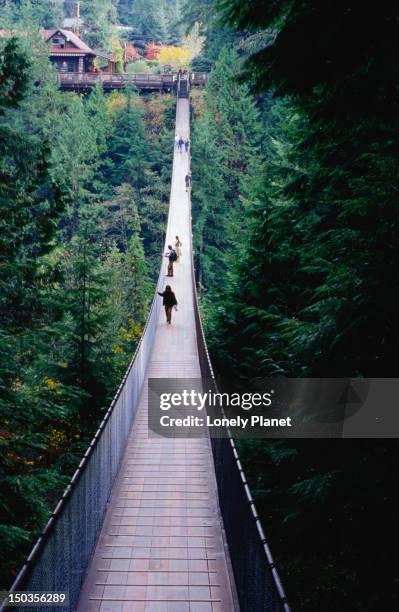 capilano suspension bridge, north vancouver. - vancouver capilano suspension bridge stock pictures, royalty-free photos & images