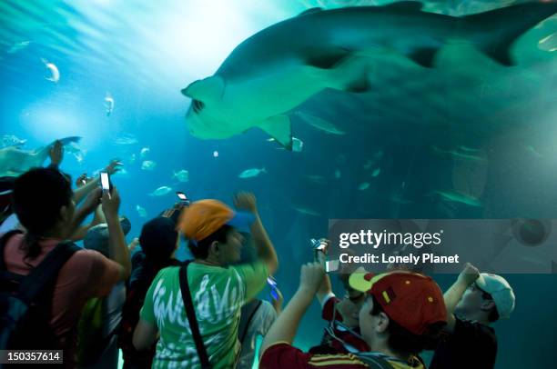 oceanografic in the ciudad de las artes y las ciencias, av autopista del saler. - del av stock pictures, royalty-free photos & images