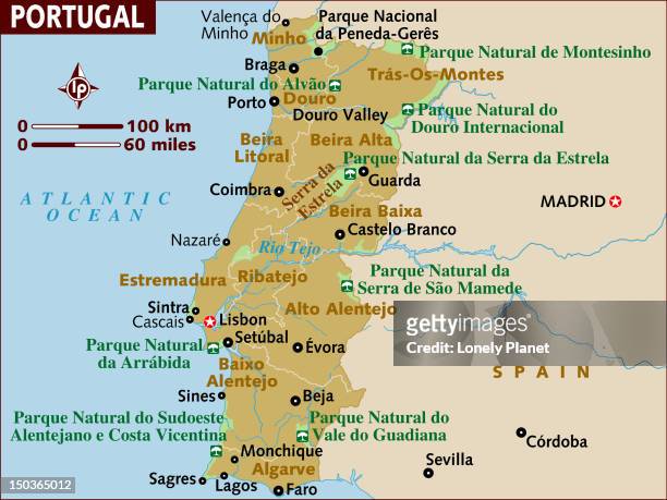 stockillustraties, clipart, cartoons en iconen met map of portugal. - faro
