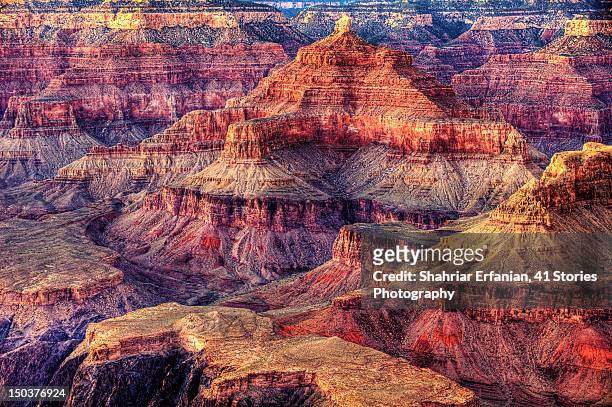 grand canyon - grand canyon - fotografias e filmes do acervo