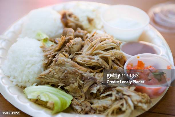 plate lunch at aloha mixed plate cafe.  includes kahlua pork, centre, lomi lomi salmon, right foreground, poi, centre right, haupia, rear right.  also macaroni salad and rice. - poi_(food) stock pictures, royalty-free photos & images