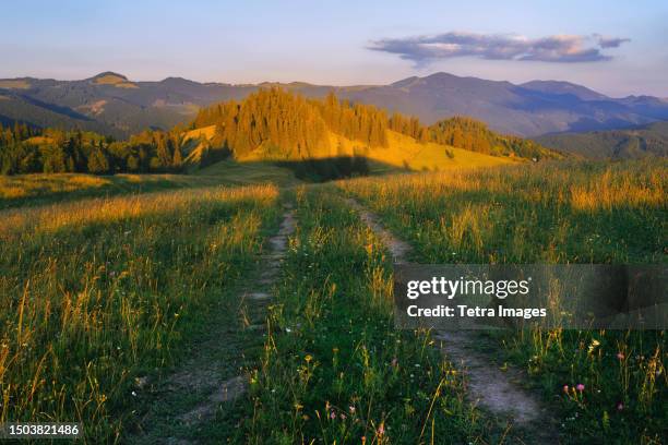 ukraine, ivano frankivsk region, verkhovyna district, dzembronya village, dirt road in carpathian mountains at sunset - western ukraine stock pictures, royalty-free photos & images