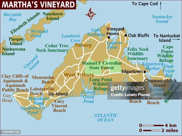 map of martha's vineyard. - martha's vineyard stock illustrations