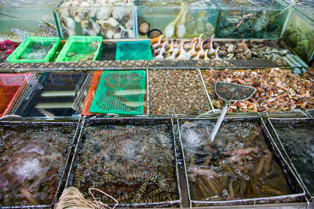 Exploring Hong Kong Sai Kung Seafood Restaurants for Coastal Dining 8 Seafood for Sale in Sai Kung