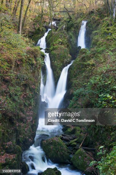 stock ghyll force, aka stockghyll force, ambleside, lake district national park, cumbria, england, uk - stockghyll force waterfall stock pictures, royalty-free photos & images