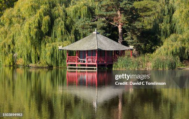 view across hever lake to colourful japanese tea house folly, hever castle, edenbridge, kent, england, uk - rooftop pool stock pictures, royalty-free photos & images