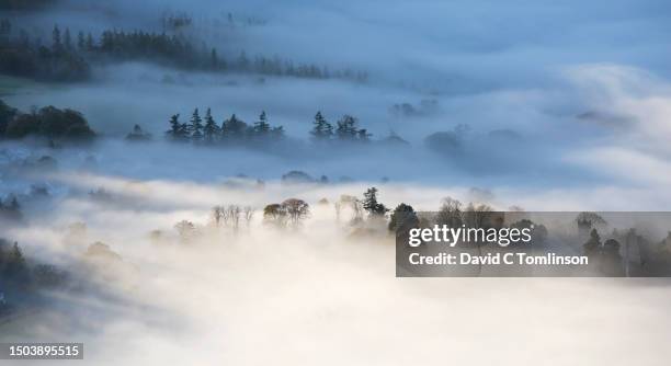panoramic view over treetops from latrigg, early morning, cloud inversion over the derwent valley, keswick, lake district national park, cumbria, england, uk - surfacing stock pictures, royalty-free photos & images