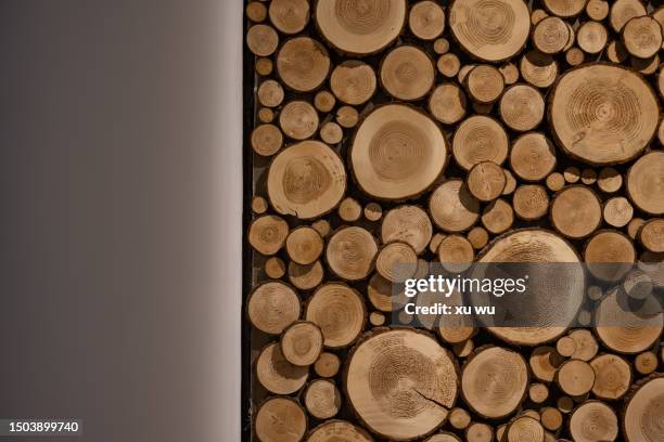 wall decoration wood cross section - tree cross section stock pictures, royalty-free photos & images