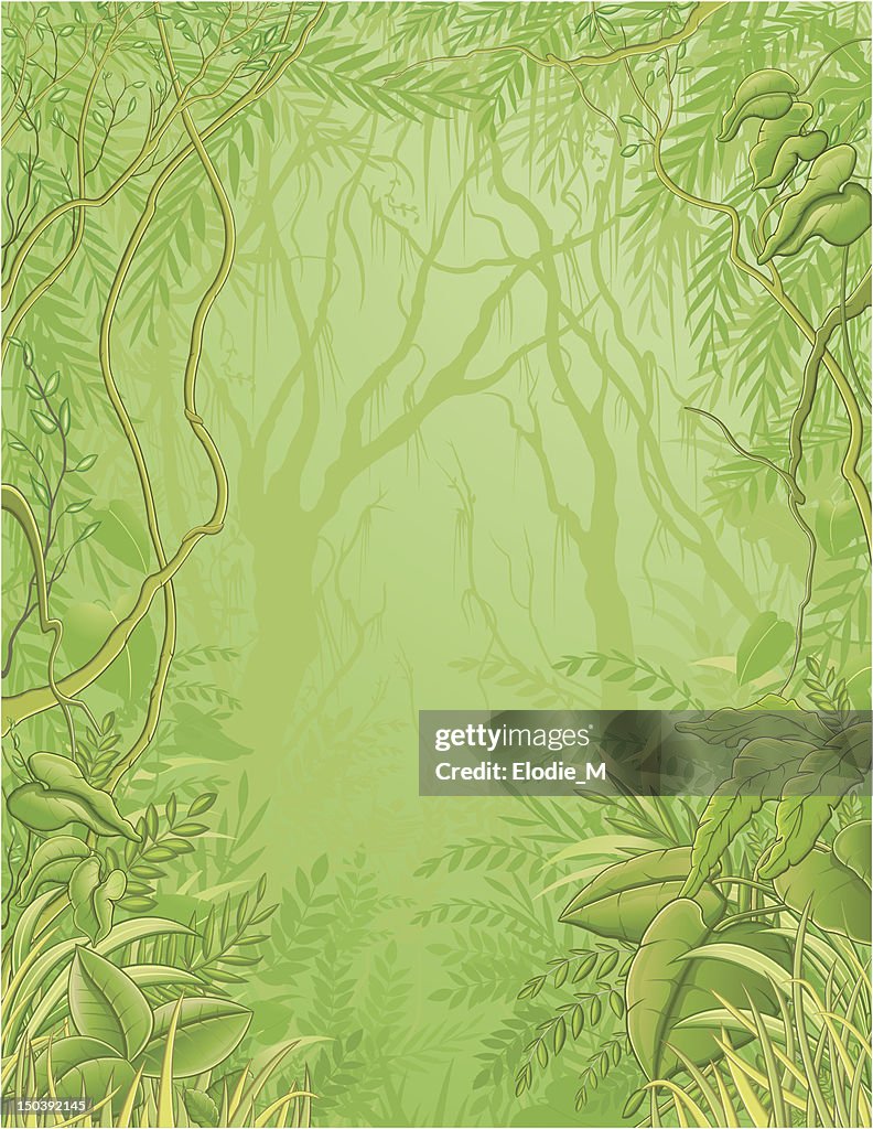 Jungle background / Rainforest