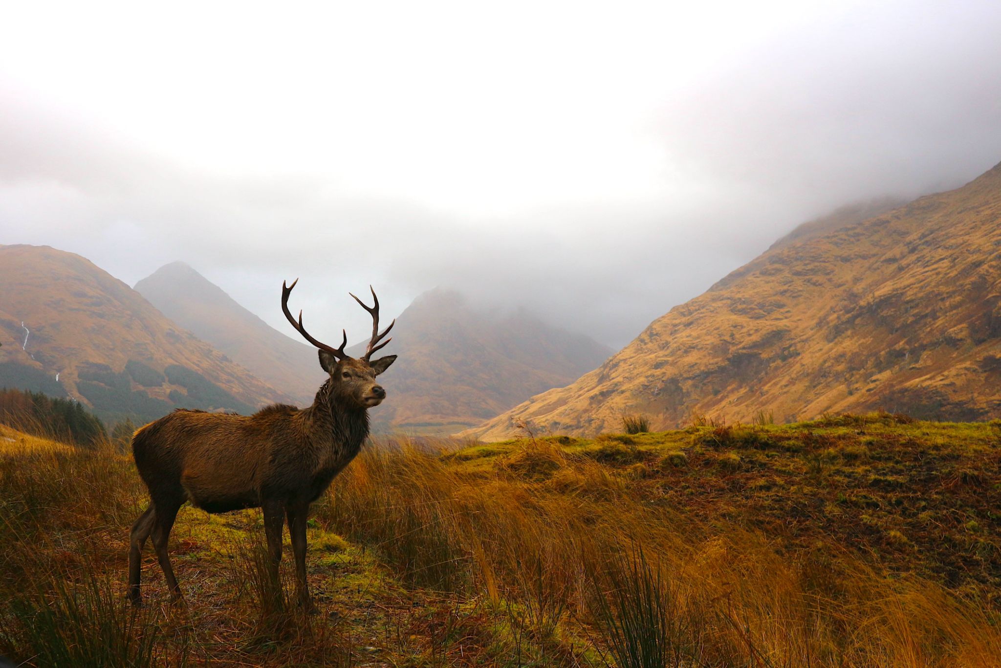 scottish highlands