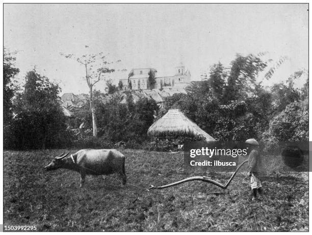 antique image from british magazine: spanish american war, philippines, ploughman working, church of san pedro on the background, manila - agricultural field photos stock illustrations