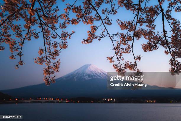 sunset with cherry blossoms on the riverbank and mount fuji in lake kawaguchi, japan - cherry blossoms in full bloom in tokyo imagens e fotografias de stock