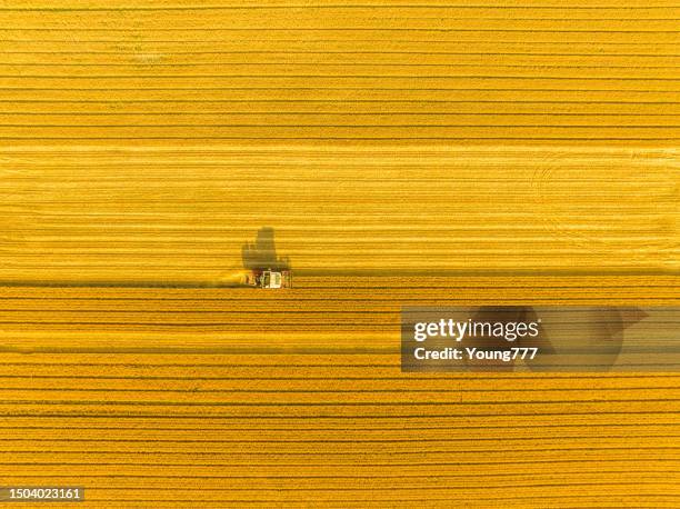 combine harvester harvesting wheat in agricultural field - tractor in field stockfoto's en -beelden