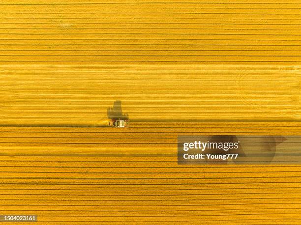 combine harvester harvesting wheat in agricultural field - aerial view farm stock pictures, royalty-free photos & images