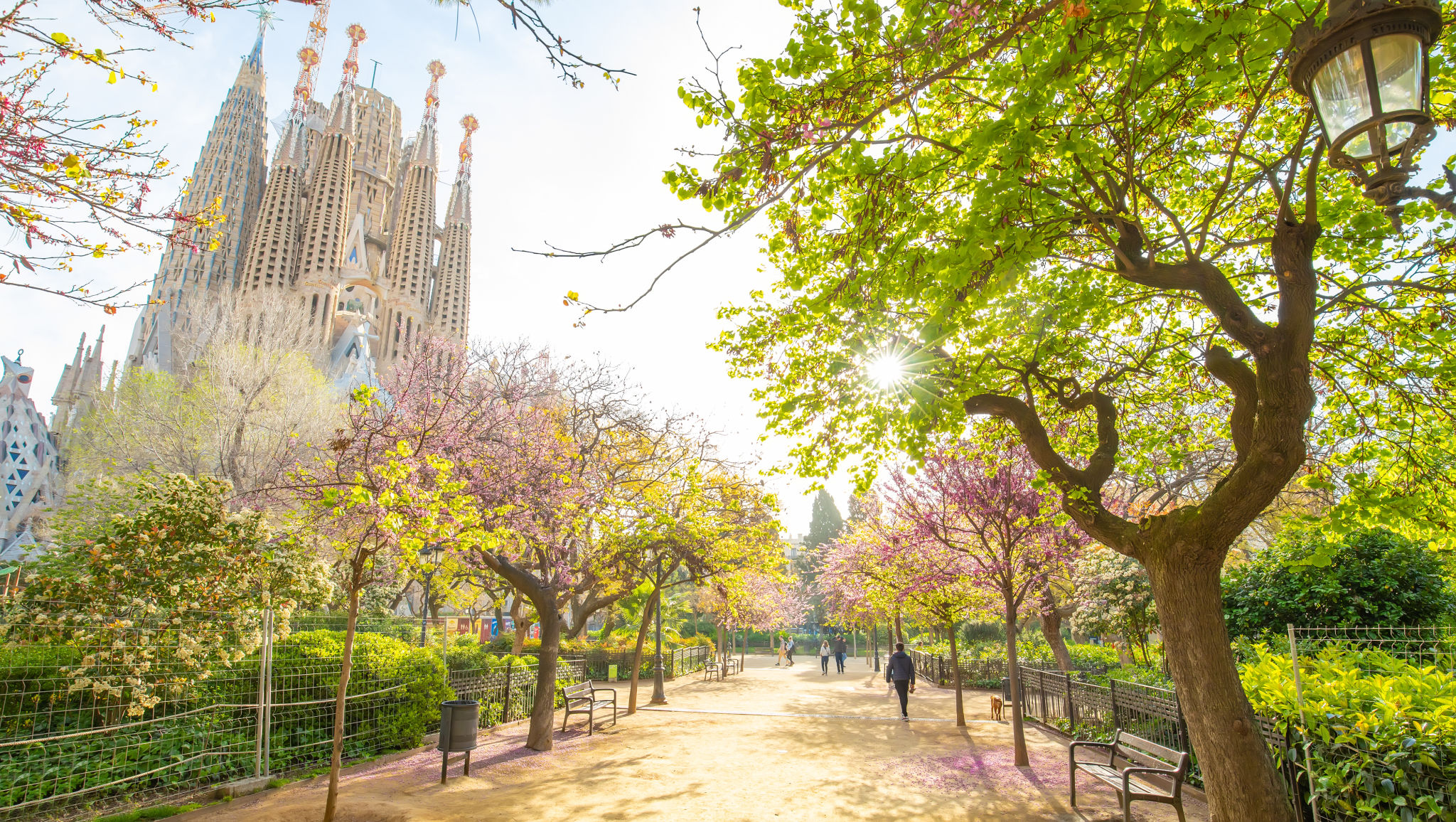 sunny barcelona