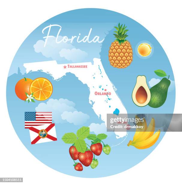 fruits map of florida - key west stock illustrations