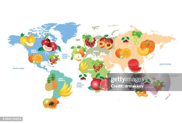 illustrations, cliparts, dessins animés et icônes de carte mondiale des fruits - cuisine du monde