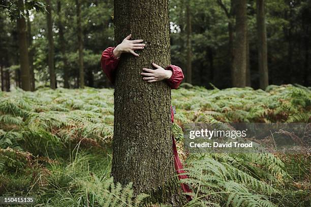 child hugging tree. - bomen stockfoto's en -beelden