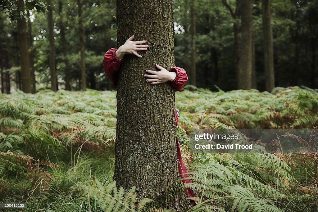 Child hugging tree.