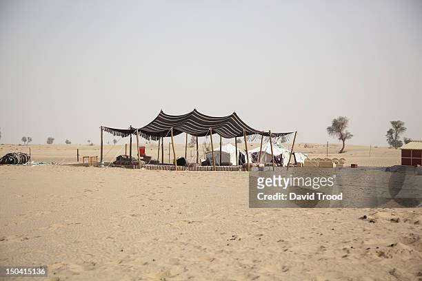 camel camp near dubai - arabian tent stock-fotos und bilder
