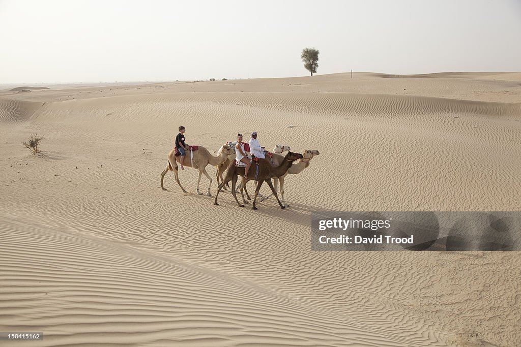 Camel safari in Dubai