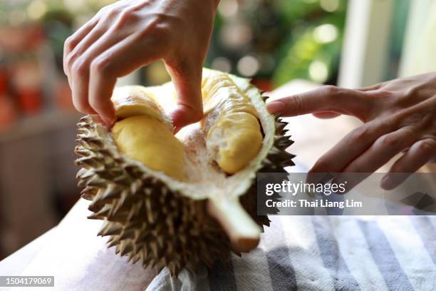a cropped image of an adult hand holding a durian at home - durian stock pictures, royalty-free photos & images