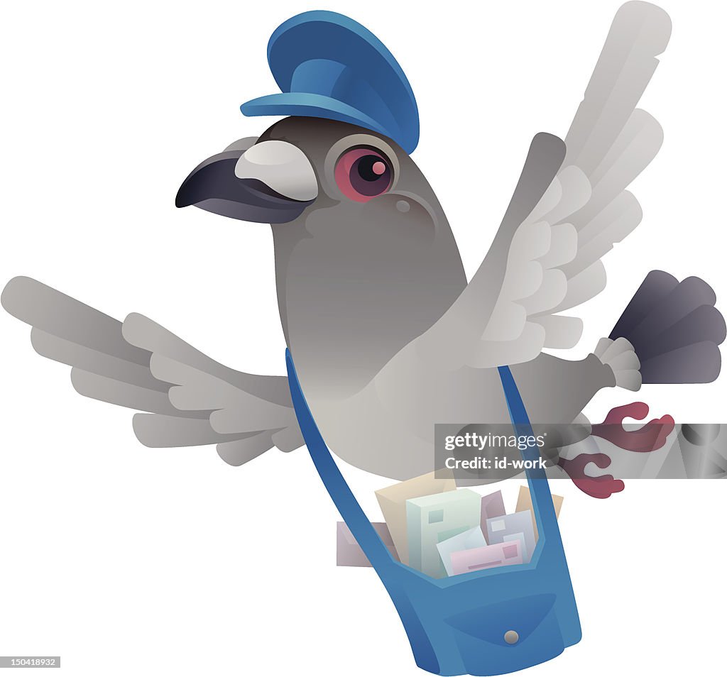 Postal pigeon